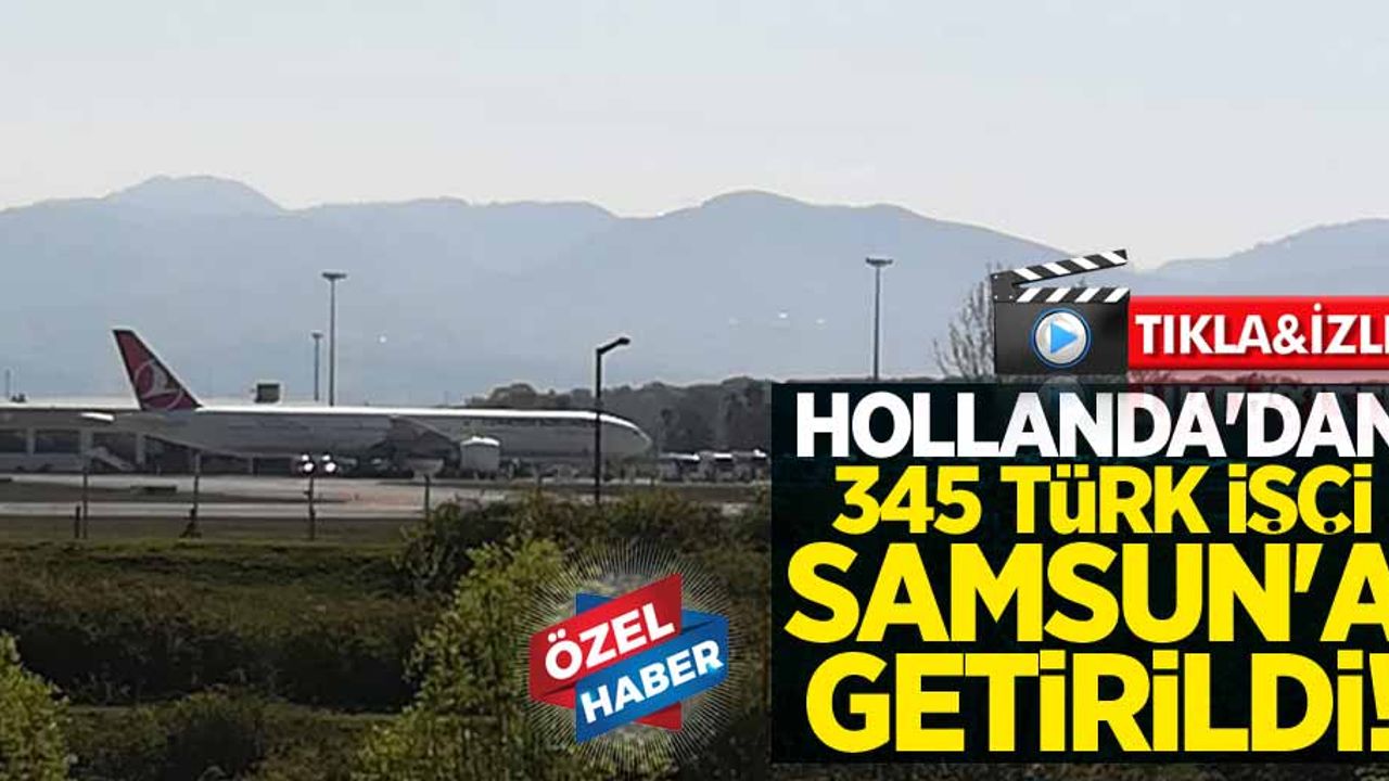 Hollanda'dan 345 Türk işçi Samsun'a getirildi! 
