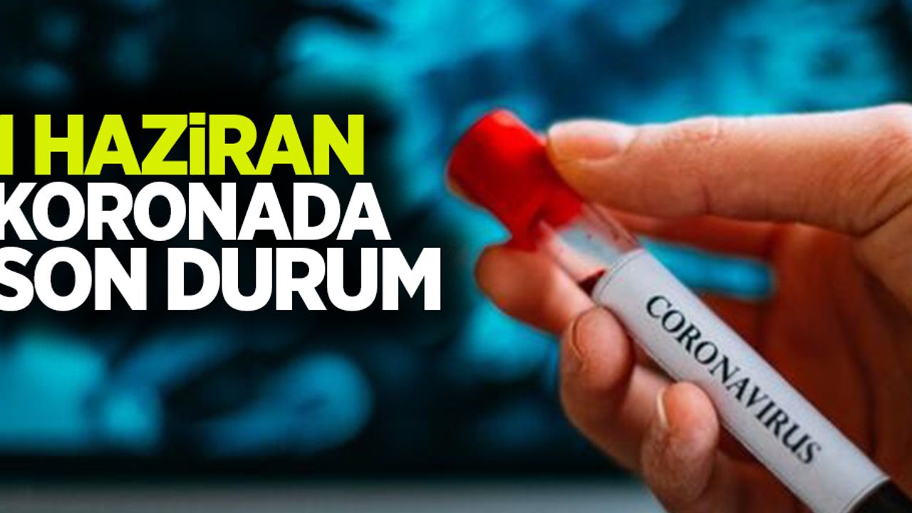 1 Haziran koronada son durum