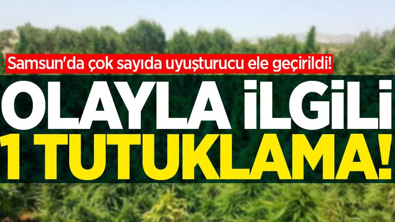 Samsun'da çok sayıda uyuşturucu ele geçirildi! 1 tutuklama