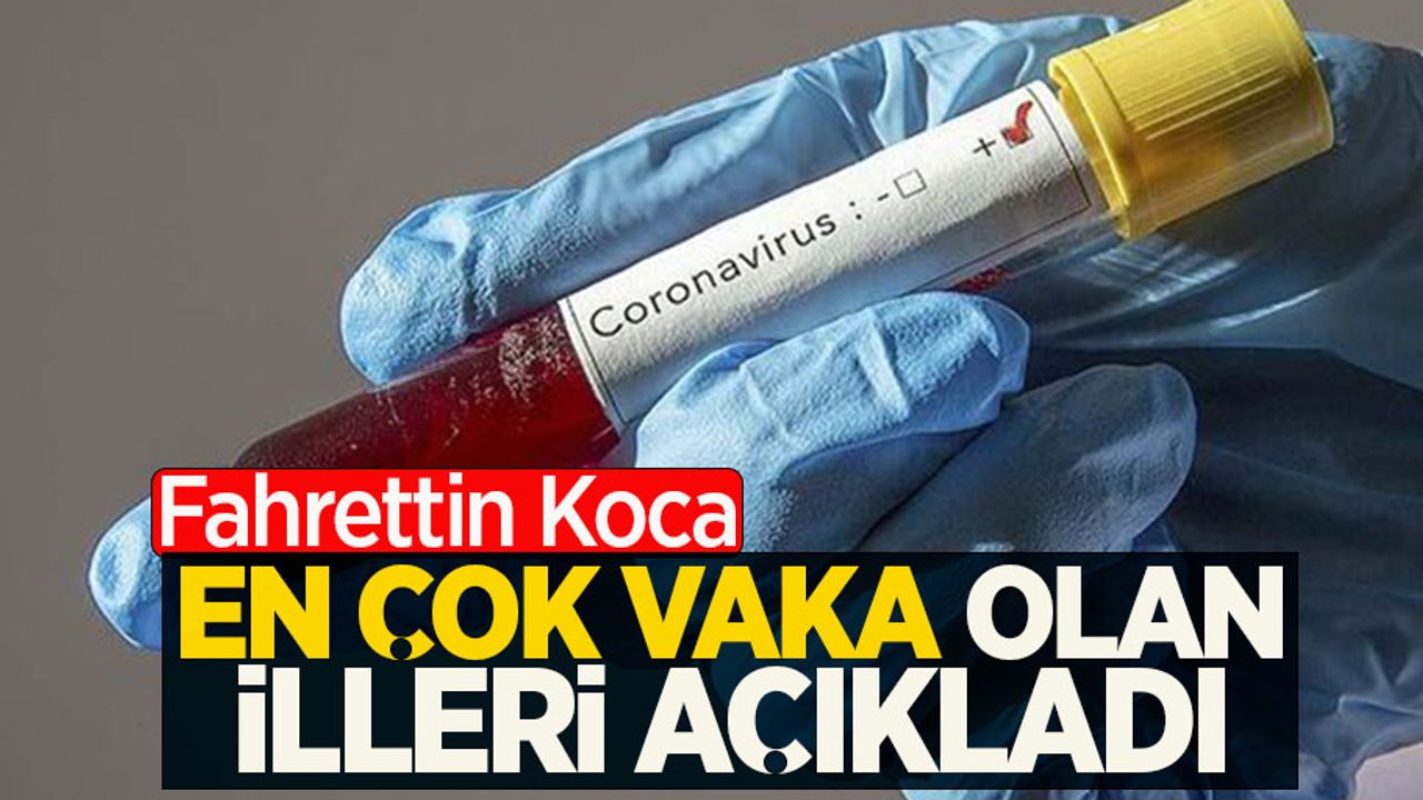 İşte en çok vaka olan o iller...