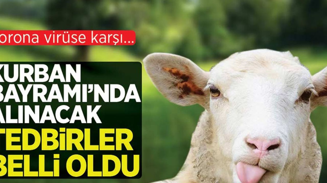 Korona virüs riskine karşı Kurban Bayramı'nda alınacak tedbirler belli oldu