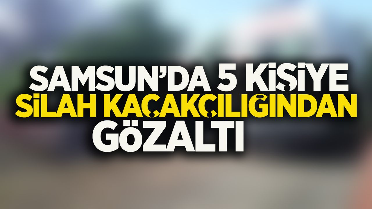 Samsun'da 5 kişiye silah kaçakçılığından gözaltı