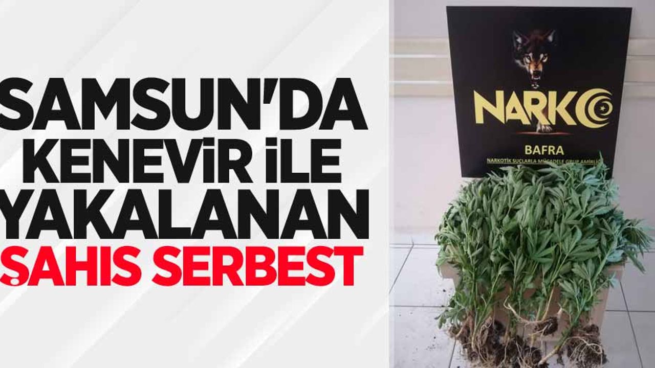 Samsun'da kenevir ile yakalanan şahıs serbest