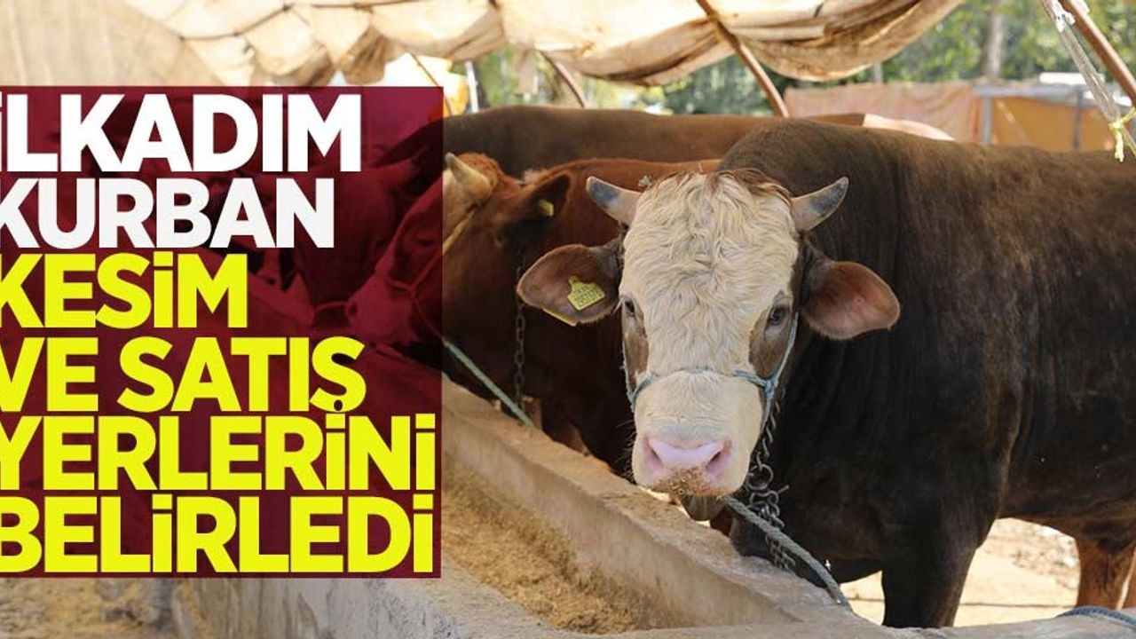 Samsun'un İlkadım ilçesinde kurban satış yerleri belli oldu