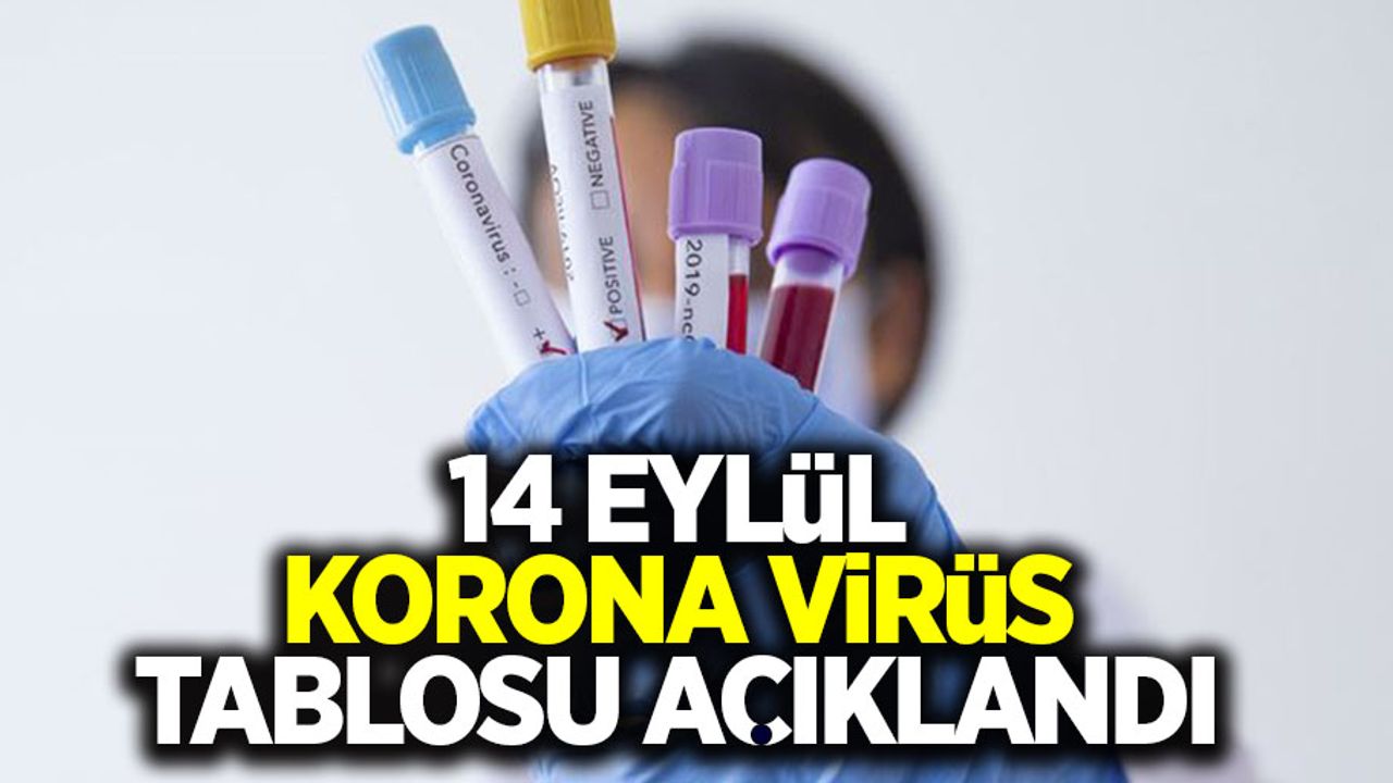 14 Eylül korona virüs tablosu açıklandı