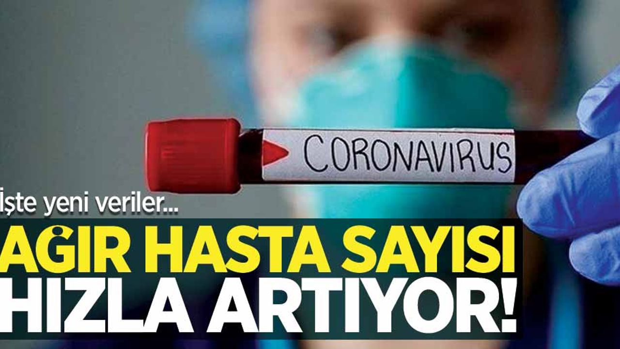 Ağır hasta sayısı hızla artıyor! İşte 8 Eylül Salı verileri...