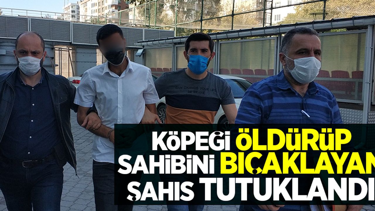Köpeği öldürüp sahibini bıçaklayan şahıs tutuklandı