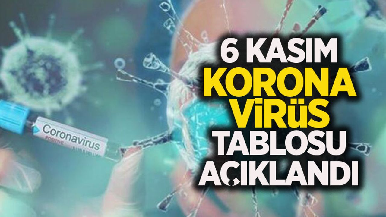 6 Kasım korona virüs tablosu açıklandı