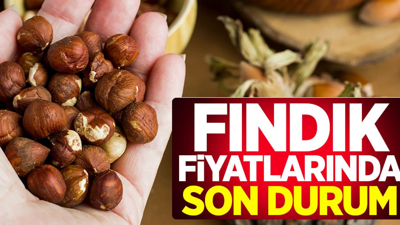 6 Aralık Pazar günü güncel fındık fiyatları
