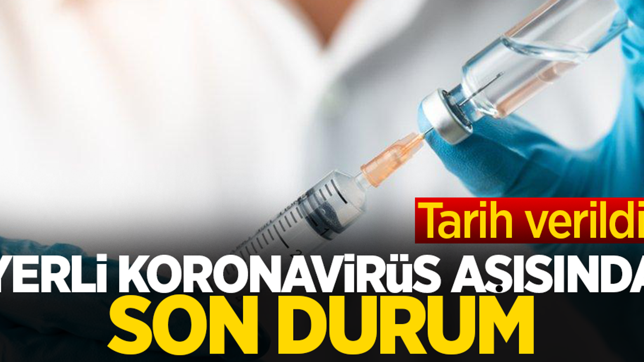 Yerli koronavirüs aşısında son durum