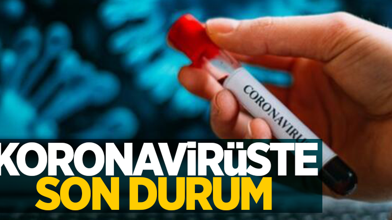 22 Şubat korona virüs tablosu açıklandı.