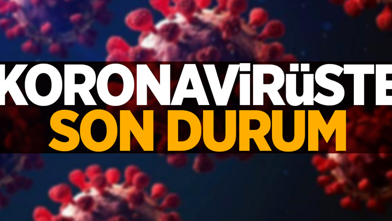 28 Şubat korona virüs tablosu açıklandı