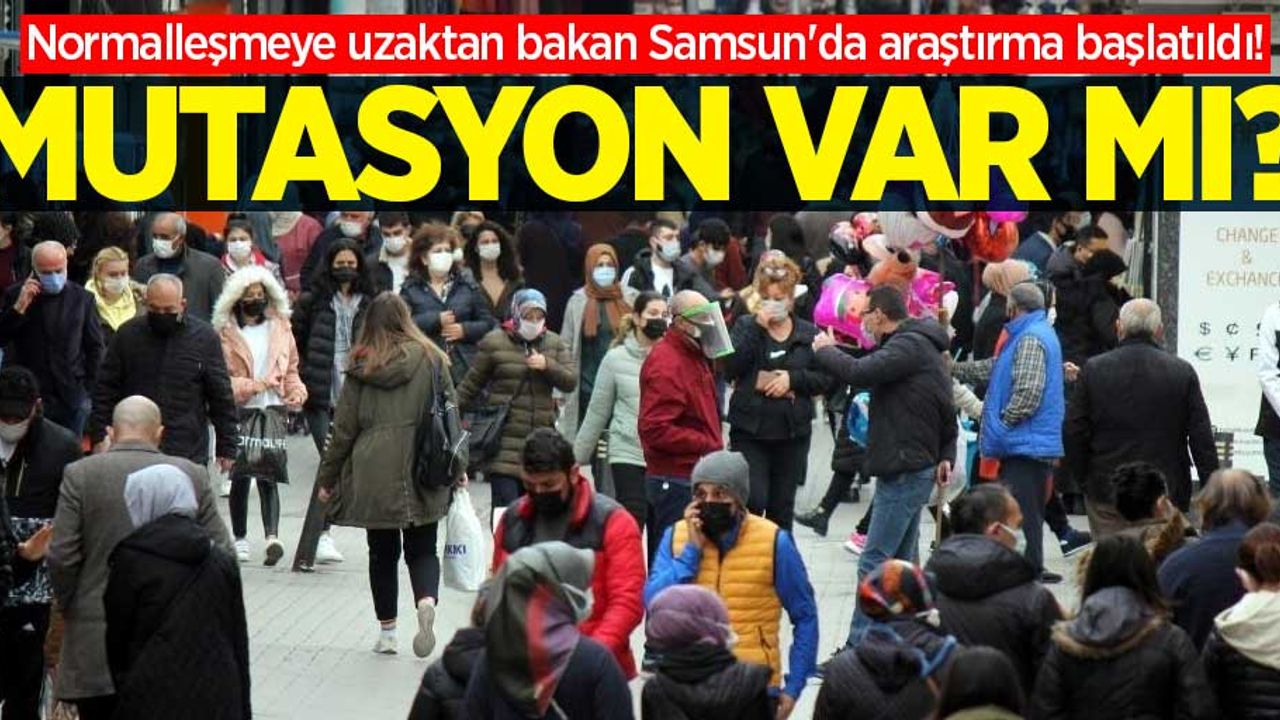 Normalleşmeye uzaktan bakan Samsun'da araştırma başlatıldı! Mutasyon var mı?