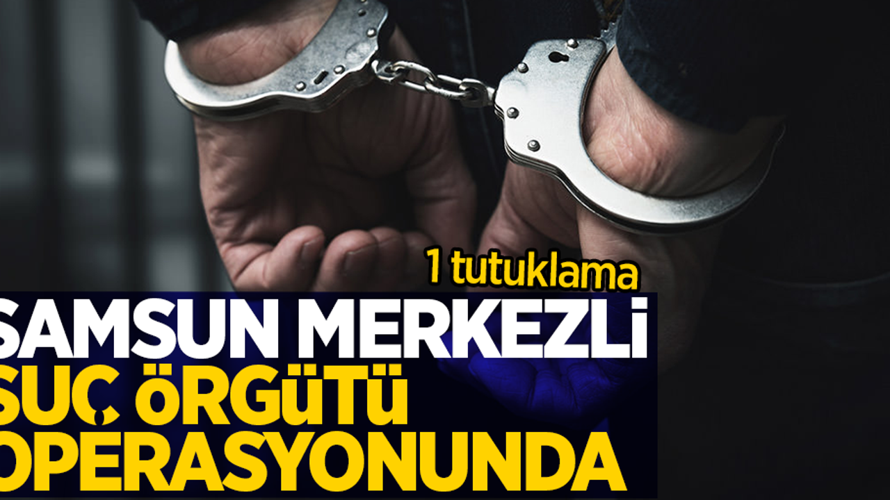 Samsun merkezli suç örgütü operasyonunda 1 tutuklama