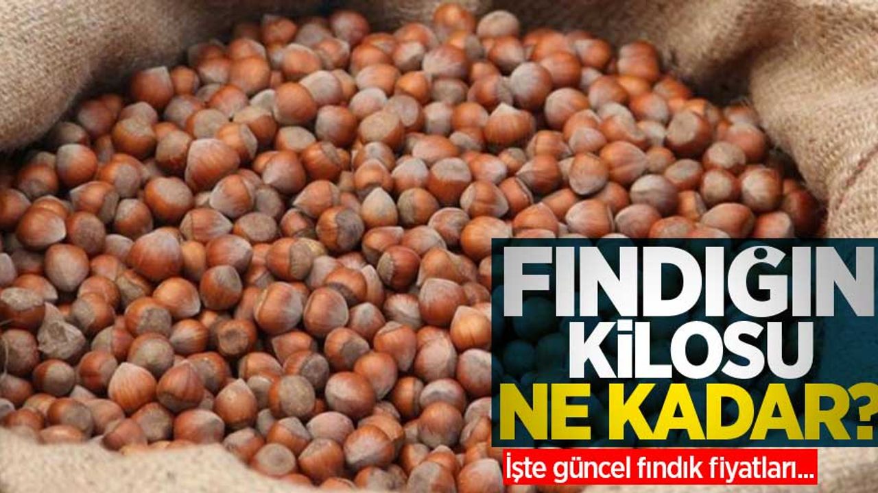 Fındığın kilosu ne kadar? İşte 14 Nisan Çarşamba Güncel Fındık Fiyatları...