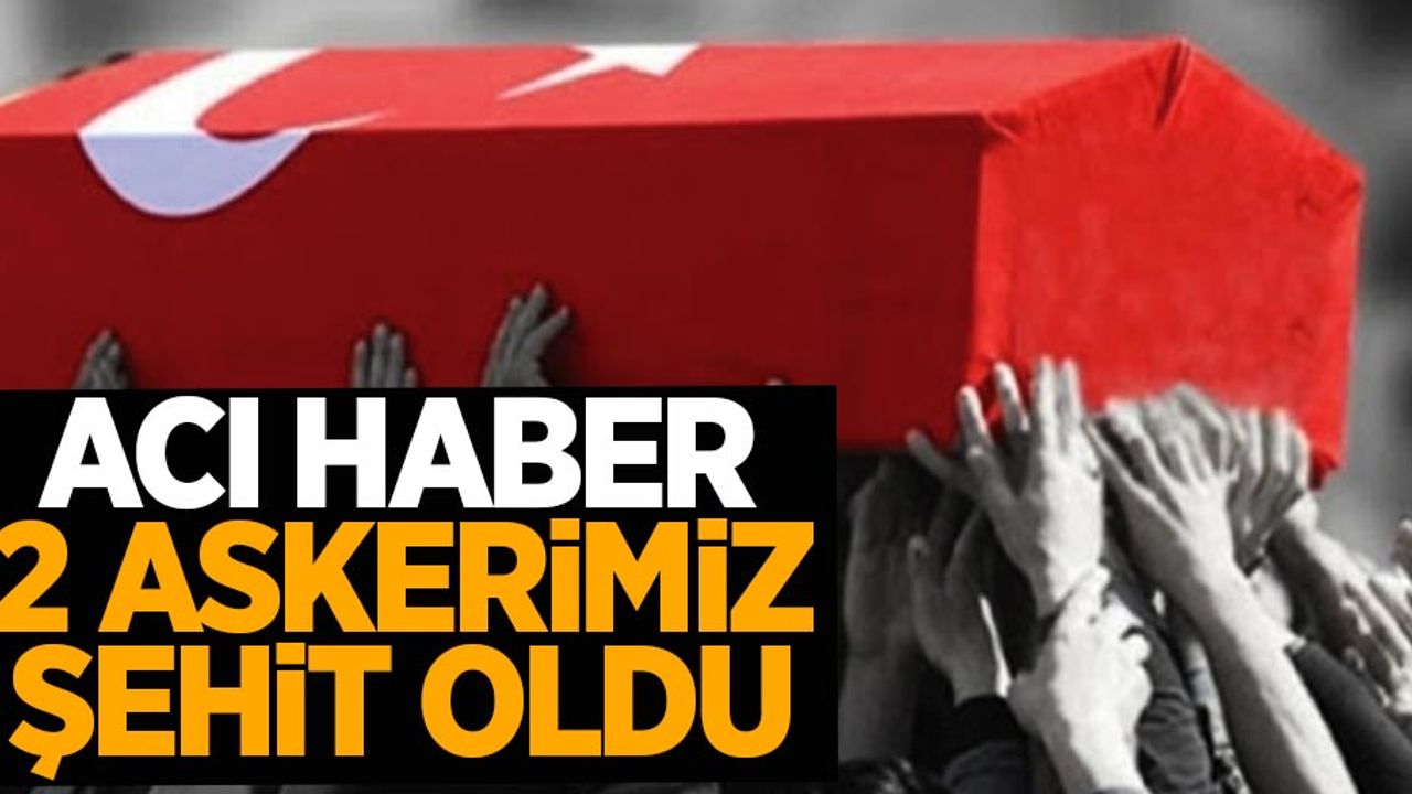 Zeytin Dalı Harekat bölgesinde 2 şehit