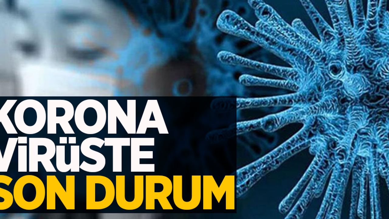 12 Mayıs koronavirüs tablosu açıklandı