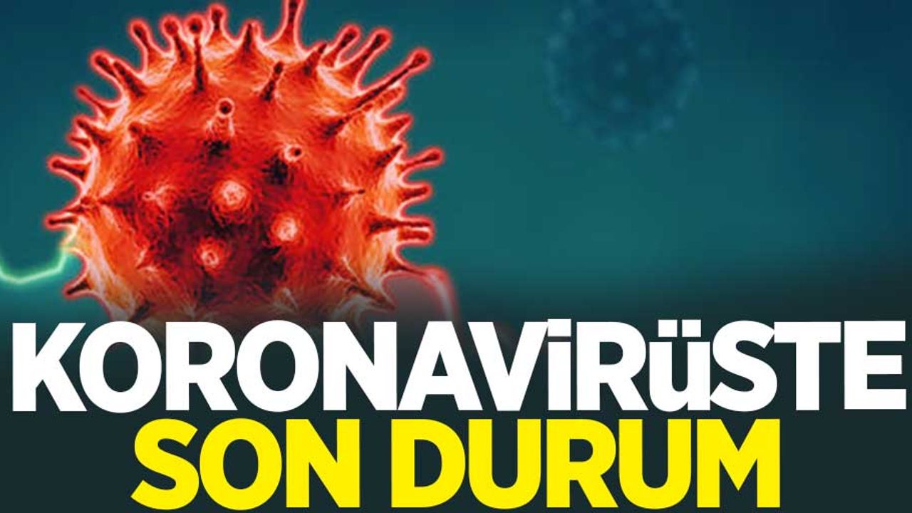 24 Haziran koronavirüs tablosu açıklandı