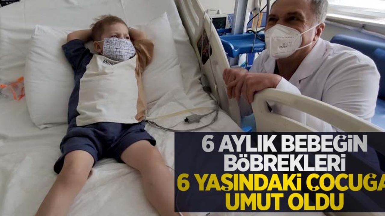 6 aylık bebeğin böbrekleri 6 yaşındaki çocuğa umut oldu