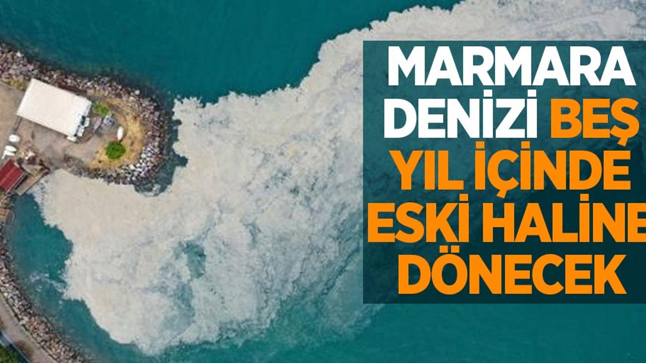 Marmara Denizi 5 yıl içinde eski haline gelecek