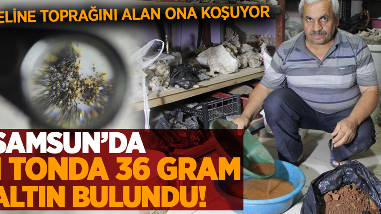 Samsun'da 1 tonda 36 gram altın bulundu!Eline toprağını alan ona koşuyor