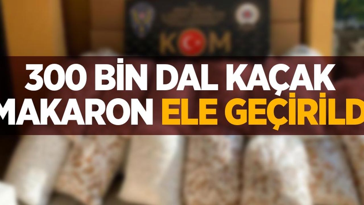 Samsun'da 300 bin dal kaçak makaron ele geçirildi