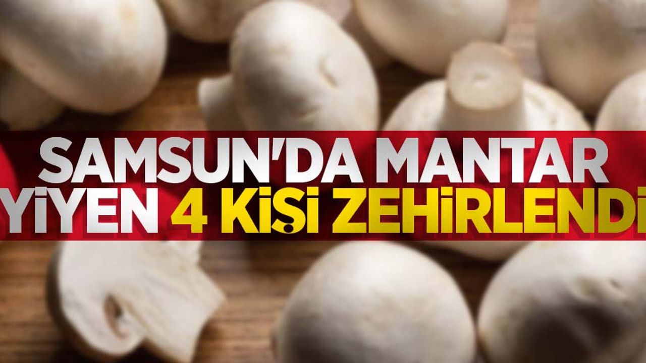 Samsun'da mantar yiyen 4 kişi zehirlendi