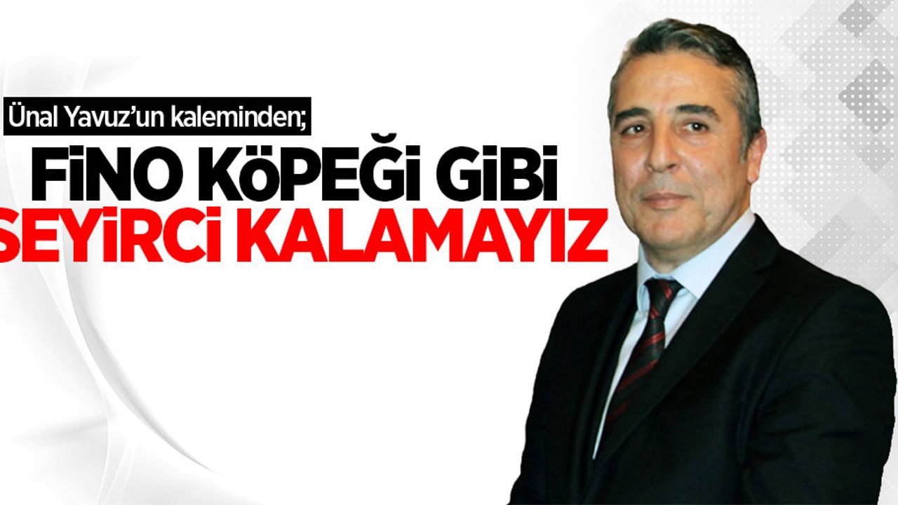 Ünal Yavuz'un kaleminden; FİNO KÖPEĞİ GİBİ SEYİRCİ KALAMAYIZ