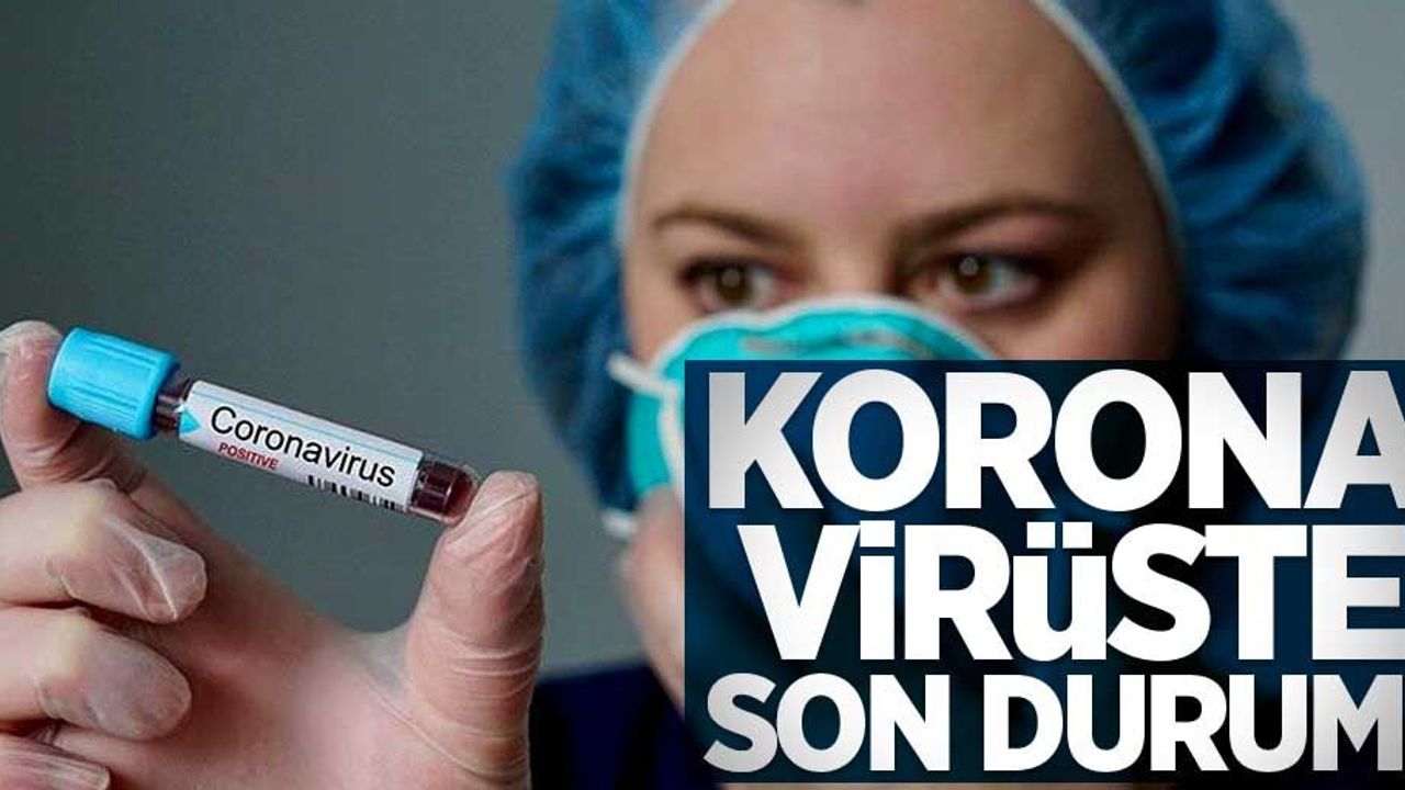 12 Ağustos Koronavirüs tablosu açıklandı...