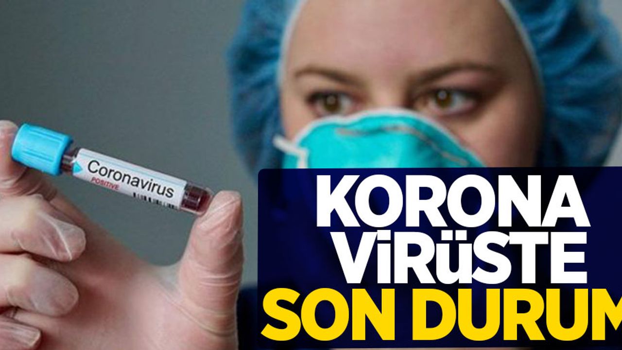 2 Ağustos koronavirüs tablosu açıklandı