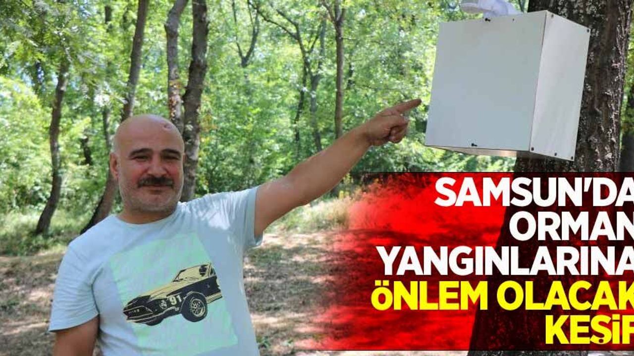Samsun'da orman yangınlarına önlem olacak keşif