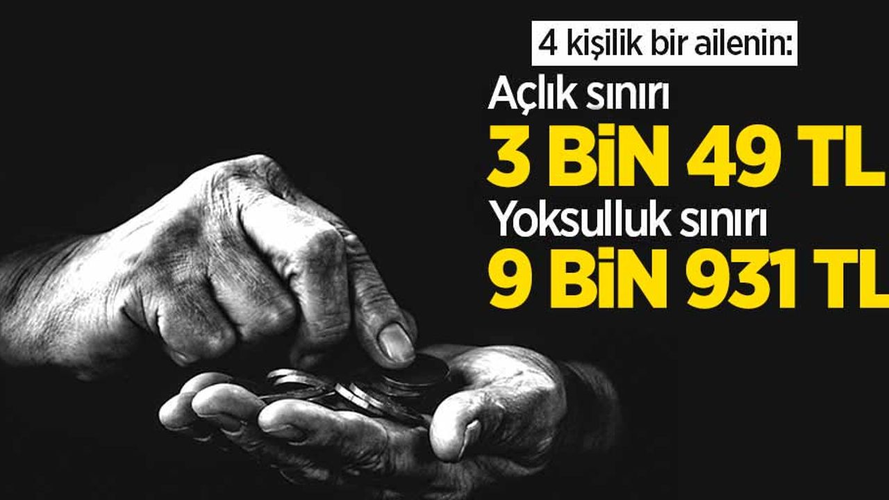 Türkiye'de açlık sınırı: 3 bin 49 TL