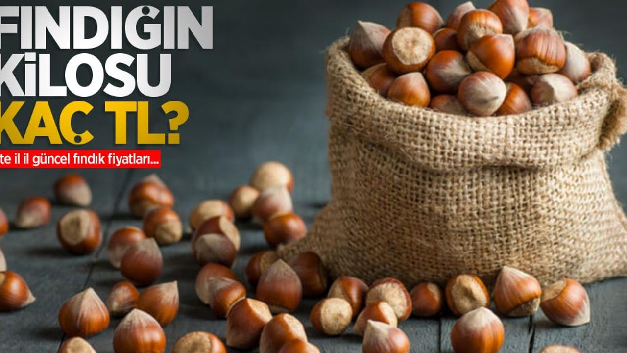 Fındığın kilosu kaç TL? 9 Ekim Cumartesi il il güncel fındık fiyatları...