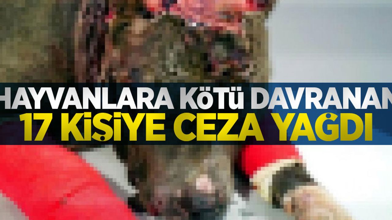 Hayvanlara kötü davranan 17 kişiye ceza yağdı