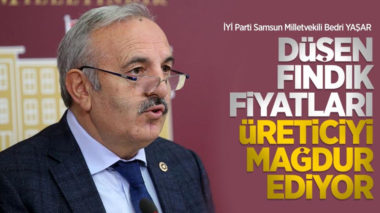 Yaşar: Düşen fındık fiyatları üreticiyi mağdur ediyor