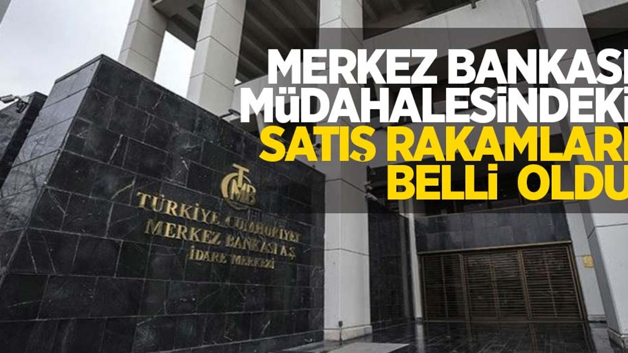Merkez Bankası müdahalesindeki satış rakamları belli oldu