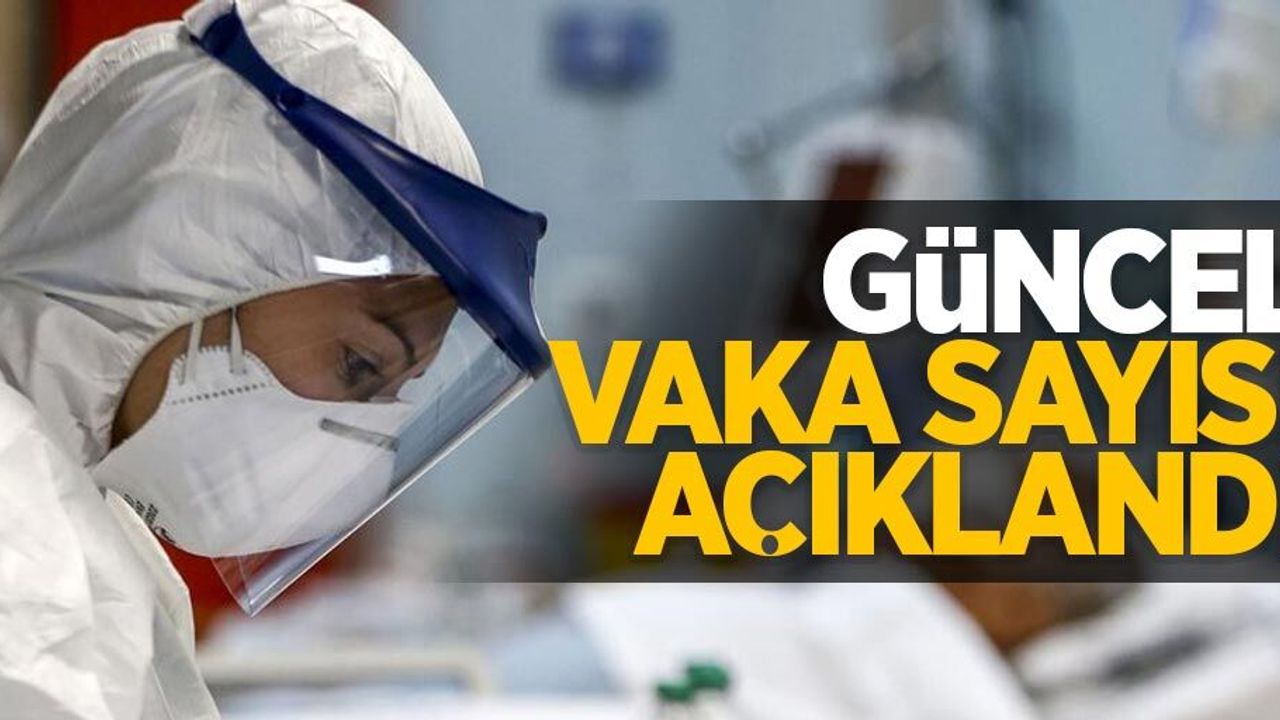 14 Ocak Koronavirüs tablosu açıklandı...