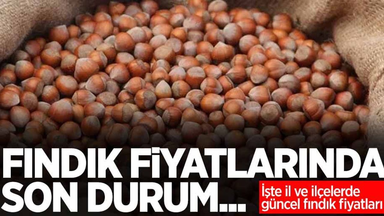 Fındık fiyatlarında son durum... İşte 24 Ocak Pazartesi il il güncel fındık fiyatları