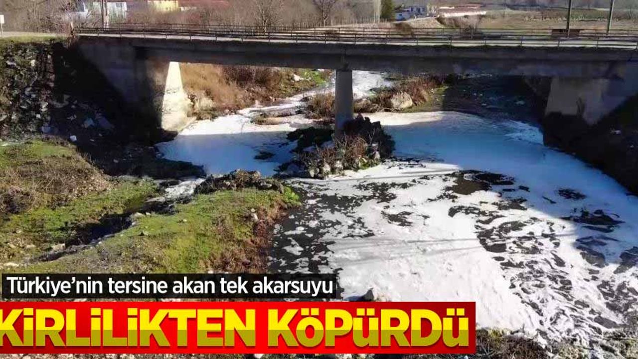 Türkiye'nin tersine akan tek akarsuyu kirlilikten köpürdü