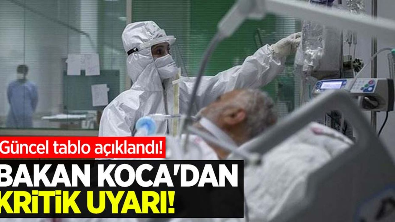 Güncel veriler açıklandı! Bakan Koca'dan uyarı