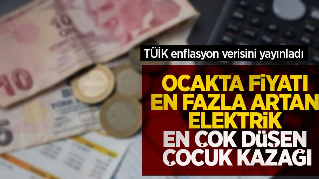 Ocakta fiyatı en fazla artan elektrik, en çok düşen çocuk kazağı
