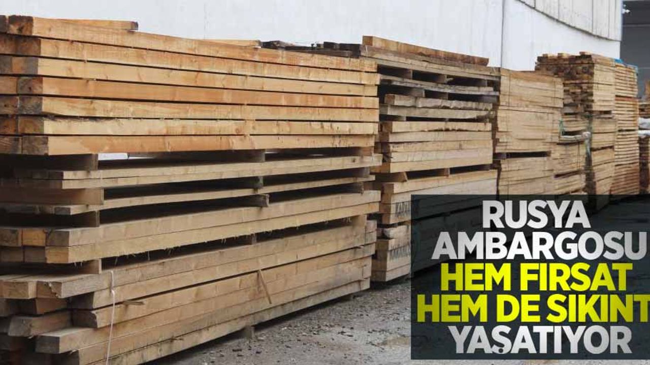 Rusya ambargosu Türkiye'ye hem sıkıntı hem de fırsat yaşatıyor
