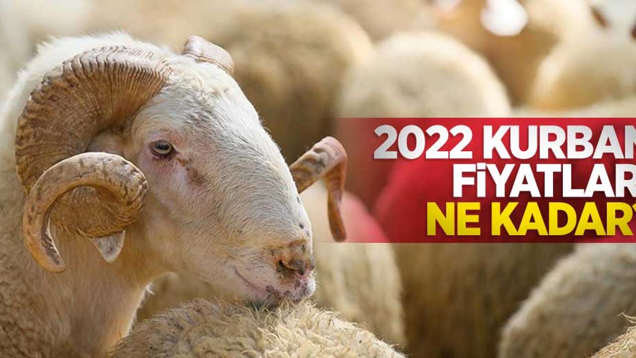 2022 yılı kurban fiyatları ne kadar?