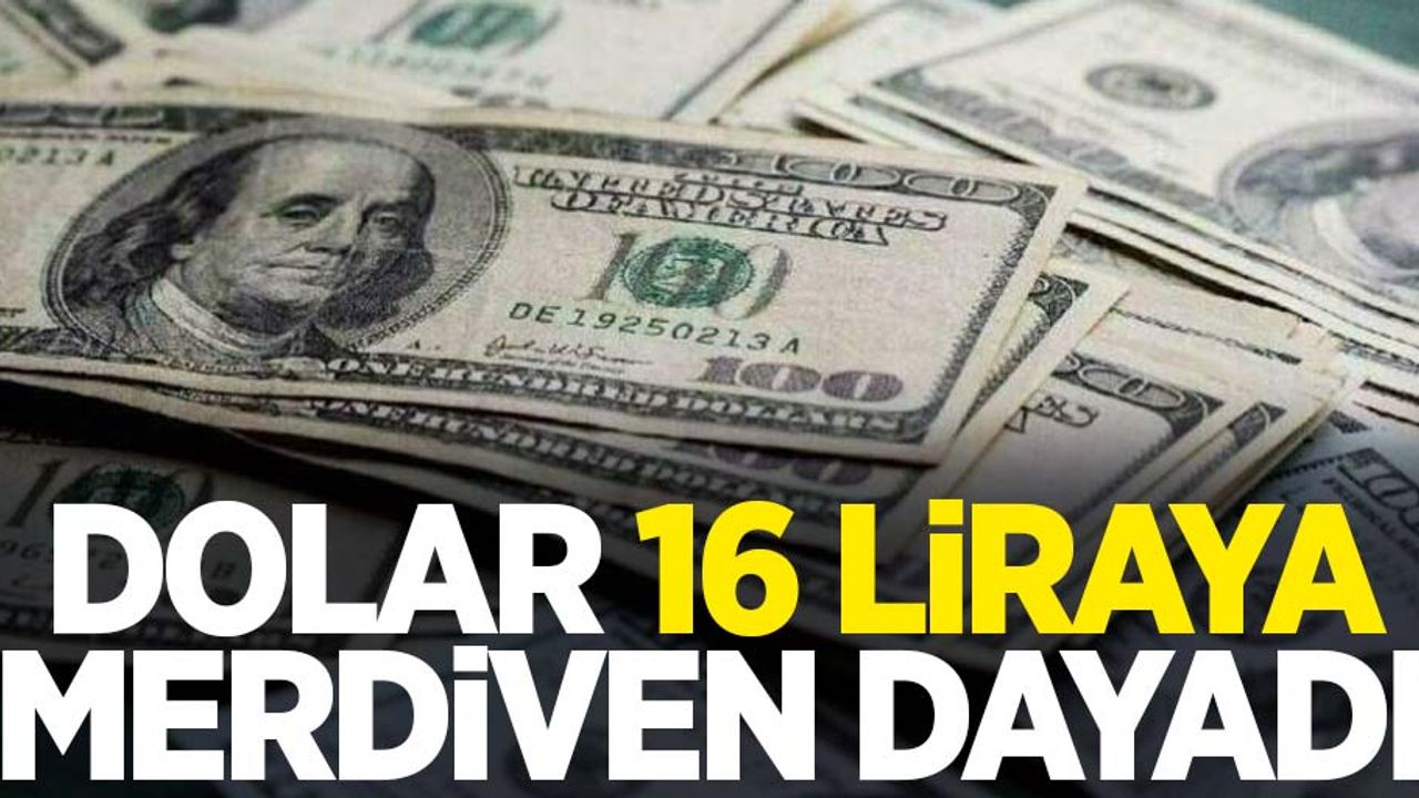Dolar 16 TL'ye merdiven dayadı