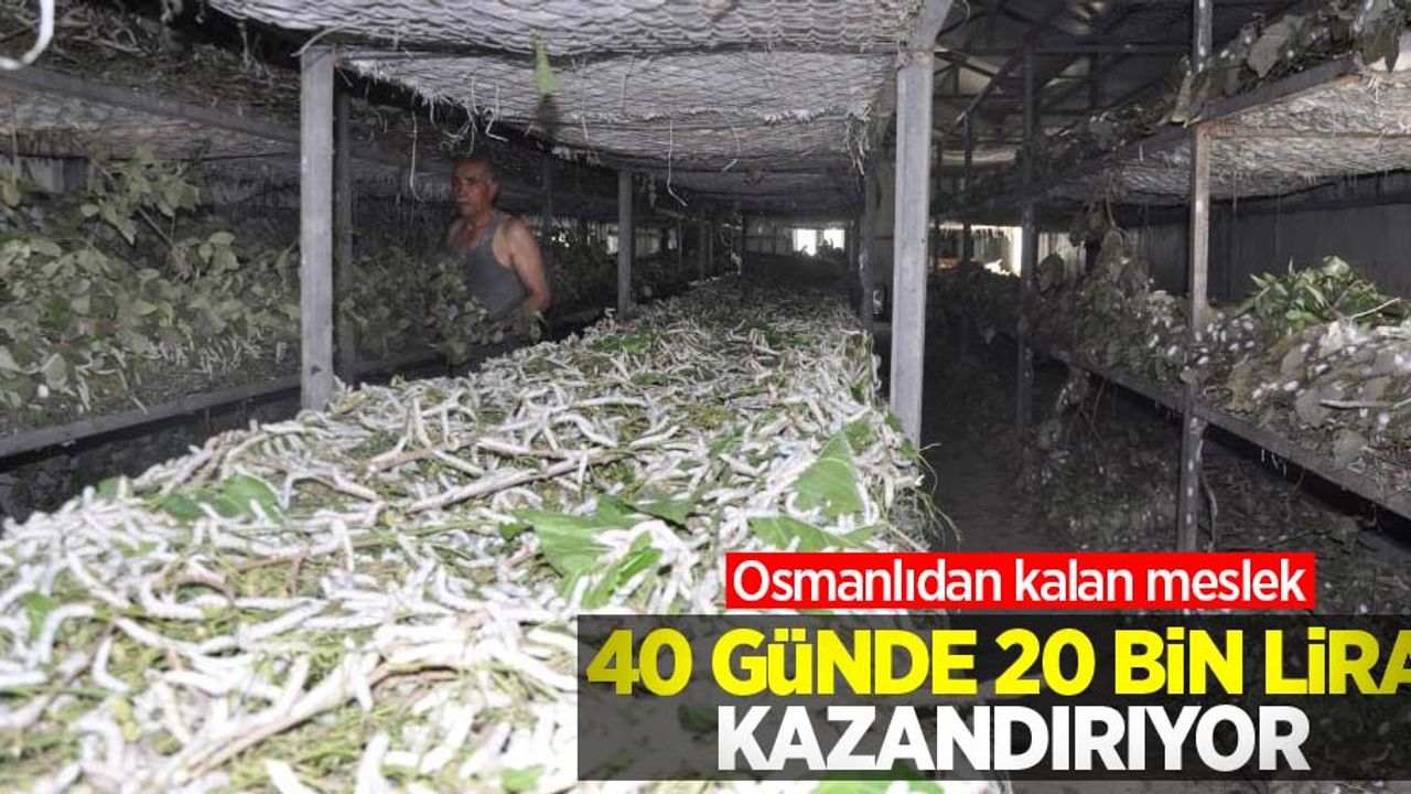 Osmanlıdan kalan meslek 40 günde 20 bin lira kazandırıyor