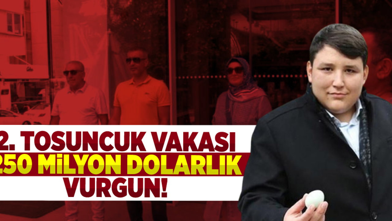 Bir Tosuncuk Vakası Daha! 250 Milyon Dolar Dolandırıldılar!