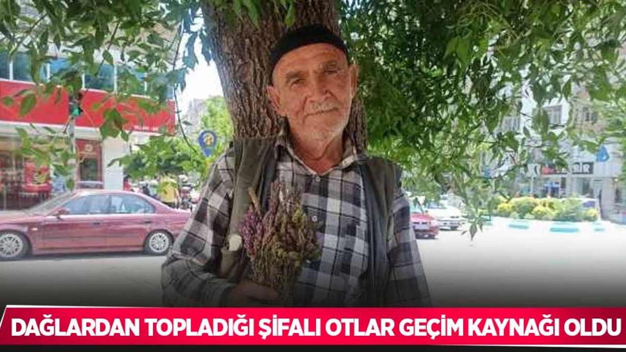 Dağlardan topladığı şifalı otlar geçim kaynağı oldu