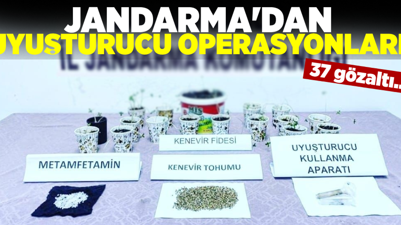 Jandarma'dan Uyuşturucu Operasyonları! 37 Gözaltı