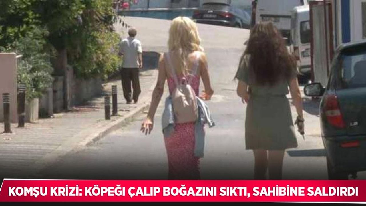 Komşu krizi: Köpeği çalıp boğazını sıktı, sahibine saldırdı