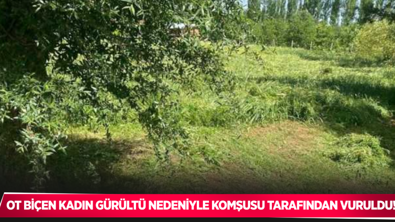 Makineyle ot biçen kadın gürültü nedeniyle komşusu tarafından vuruldu